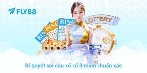 FLY88 - FLY88.COM CHÍNH THỨC | ĐĂNG KÝ Fly 88 - Google Play - Winprism