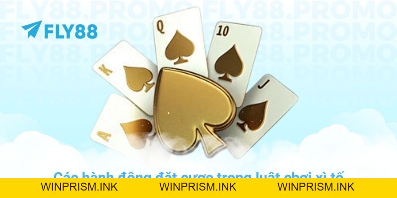 Luật chơi xì tố chi tiết và mẹo thắng lớn tại nhà cái FLY88 - Winprism