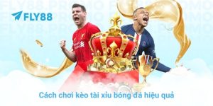 FLY88 - FLY88.COM CHÍNH THỨC | ĐĂNG KÝ Fly 88 - Google Play - Winprism