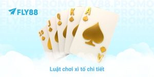 FLY88 - FLY88.COM CHÍNH THỨC | ĐĂNG KÝ Fly 88 - Google Play - Winprism