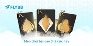 FLY88 - FLY88.COM CHÍNH THỨC | ĐĂNG KÝ Fly 88 - Google Play - Winprism